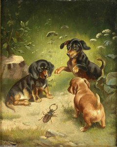 Dachshund Puppies At Play — Carl Reichert