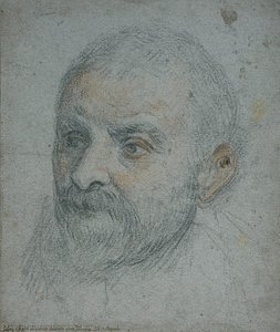 Self Portrait — Jacopo Palma Il Giovane