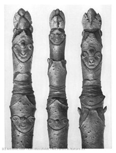 Art Forms In Nature 13 — Karl Blossfeldt