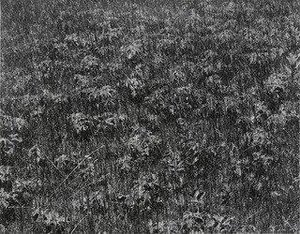 Port Huron, Michigan — Harry Callahan