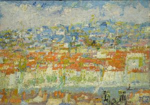 Les Toits de Lyon
