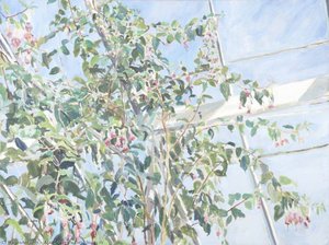 Field Study Iv — Alan Sekers