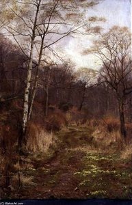 A Woodland Path In Spring