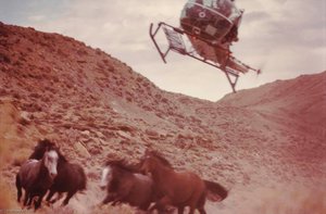 Hudson Resident, From The Wyoming Documentary Survey Project — Penny Diane Wolin