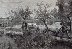 A Little Farm Well Tilled — David Murray