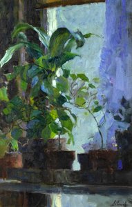 Houseplants — Richard Schmid