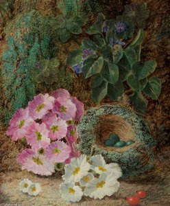 A Bird's Nest And Flowers
