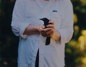 Grackle — Barbara Bosworth