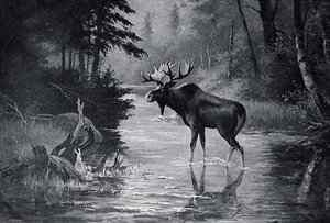 Water and Wood Scene with Moose, (painting)