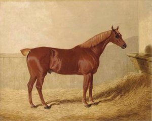 A Chestnut In A Stable — John Frederick Herring Senior
