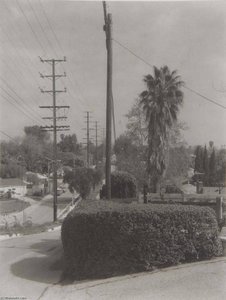 Charnock Road (inglewood Blvd.), Mar Vista (la13) — Madoka Takagi