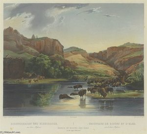 Herds Of Bison And Elks — Karl Bodmer
