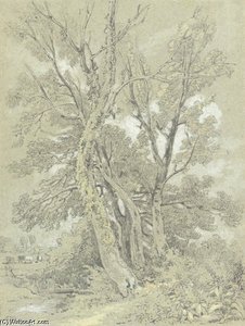 The River Bank, Sandhurst — William Alfred Delamotte