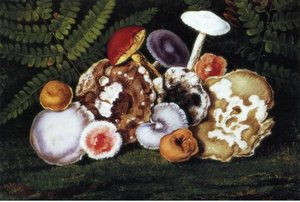 Mushrooms — William Aiken Walker