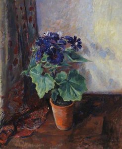 Cineraria — James Bolivar Manson