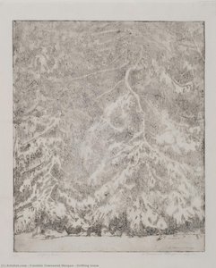 Drifting Snow