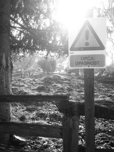 General Danger! — Alfred Freddy Krupa