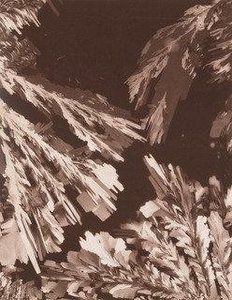 Citric Acid — Laure Albin Guillot
