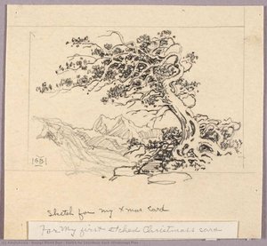 Sketch For Christmas Card (windswept Pine ) — George Elbert Burr