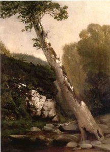 Sycamore, Catskill Clove, Below Haines Falls — John Williamson