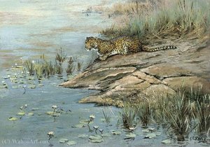 A leopard by the water's edge