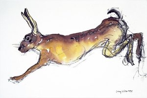 Jumping Hare — Lucy Willis