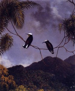 Snowcap — Martin Johnson Heade