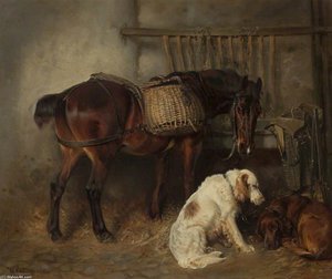 Stable Companions