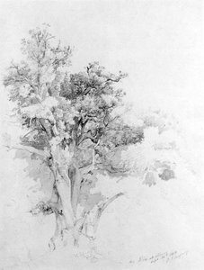 Oak Tree, Albano — Jasper Francis Cropsey