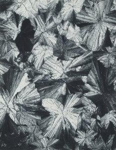 Irional — Laure Albin Guillot