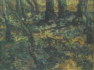 Efeu Im Unterholz — Vincent Willem Van Gogh
