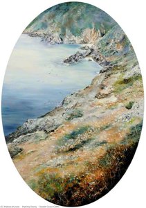 South Coast Cliffs — Pamela Dorey
