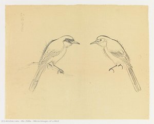 Untitled (d2x68e) — Xie Zhiliu