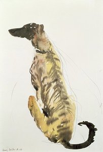 Lurcher Sitting — Lucy Willis