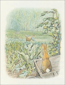 Peter Rabbit 26a - (11x13) — Beatrix Potter