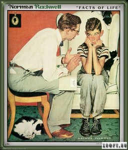 Facts Of Life — Norman Rockwell