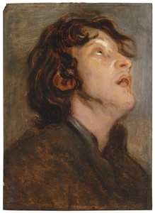 Head Study Of A Young Man — Thomas Willeboirts Bosschaert
