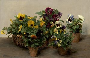 Pansies — Henri Fantin-latour