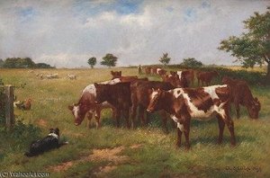 Calves Grazing — Claude Cardon