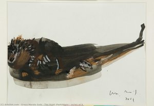 The Hunt (Partridges), series of 9
