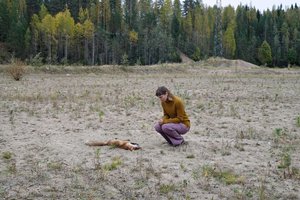 Dead Fox — Elina Brotherus