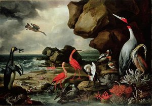 Penguin — George Philip Reinagle