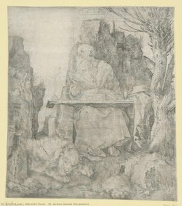 Hl. Hieronymus Am Weideland — Albrecht Dürer