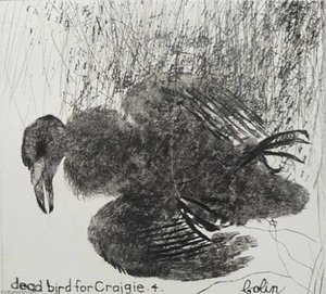 Dead Bird For Craigie — Colin Self