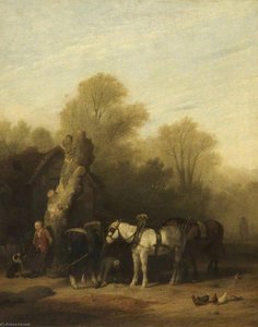 Horses Baiting