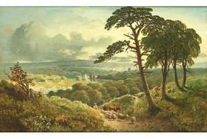 Driving Cattle And Sheep On A Woodland Path