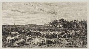 Meadow With Sheep — Charles-françois Daubigny