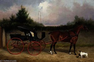 Shin-a-beg a bay horse
