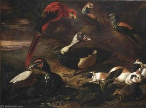 A Landscape With A Scarlet Macaw