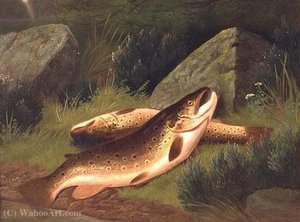 Brown Trout — A. Roland Knight, Contemporary Realism